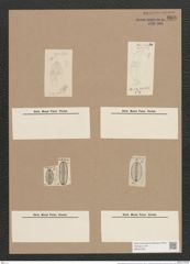 Navicula littoralis (ovulum) Donk./Grun. (de-Toni-Nr.: Genus 1, Species 294) Zeichnungen Sammlung Grunow Nr. 668 (NHMW-BOT-W0367040)